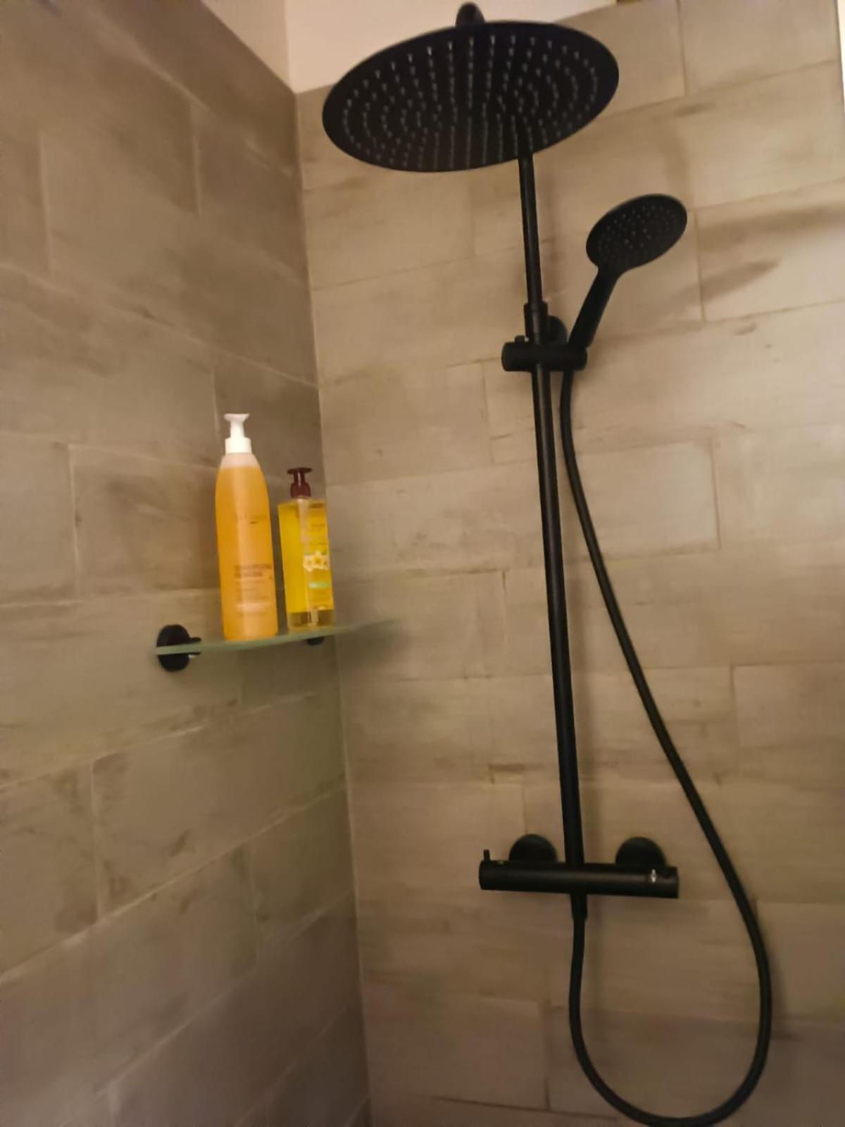 Bed and Breakfast La Lauze Et L'Anguille Gaillac Esterno foto